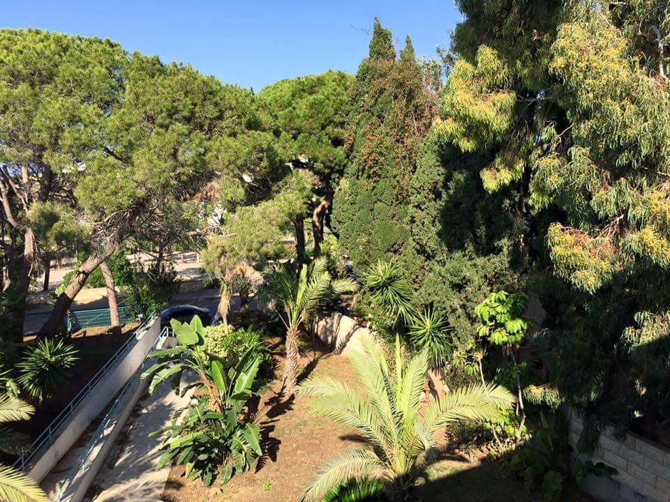 Carmel Mountain Motel Haifa Bagian luar foto